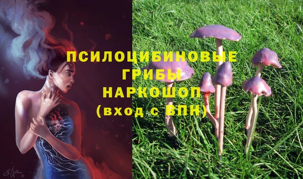 прущие крисы Зерноград