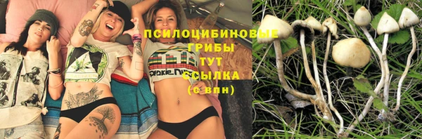 2c-b Зеленокумск