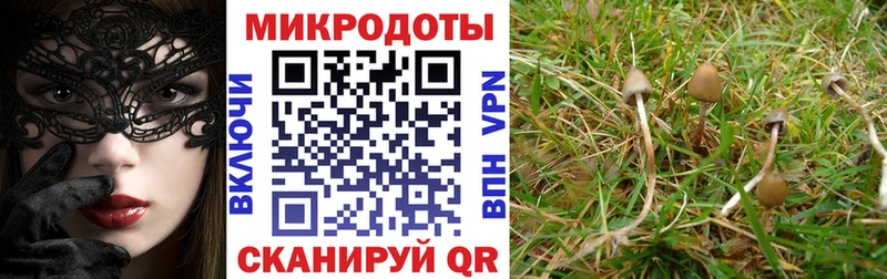 Галлюциногенные грибы GOLDEN TEACHER  Купить закладки  Миасс 